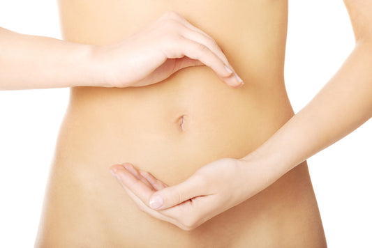 乳酸菌について、知っておいて損は無し!!