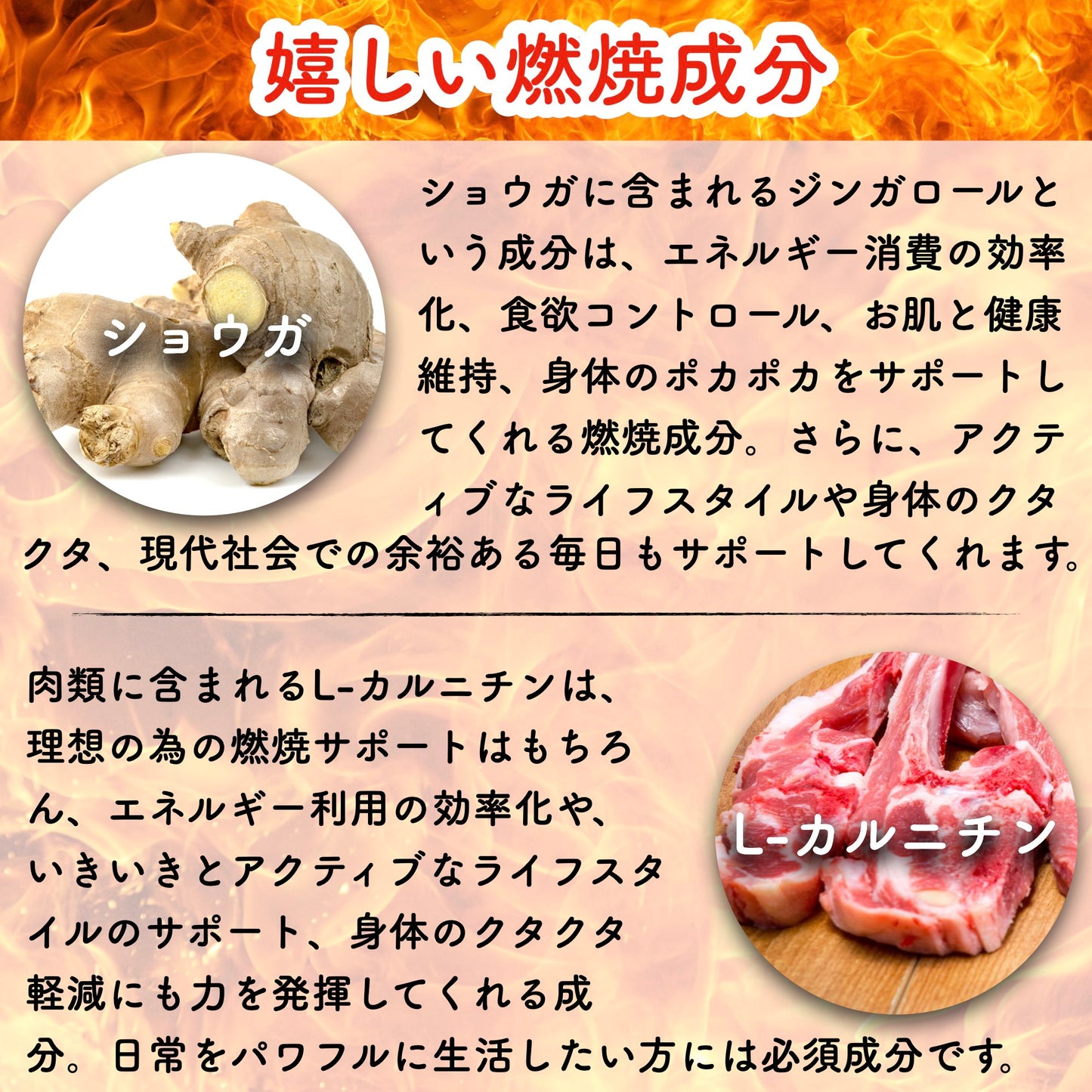 Burning Support ダイエット サプリメント