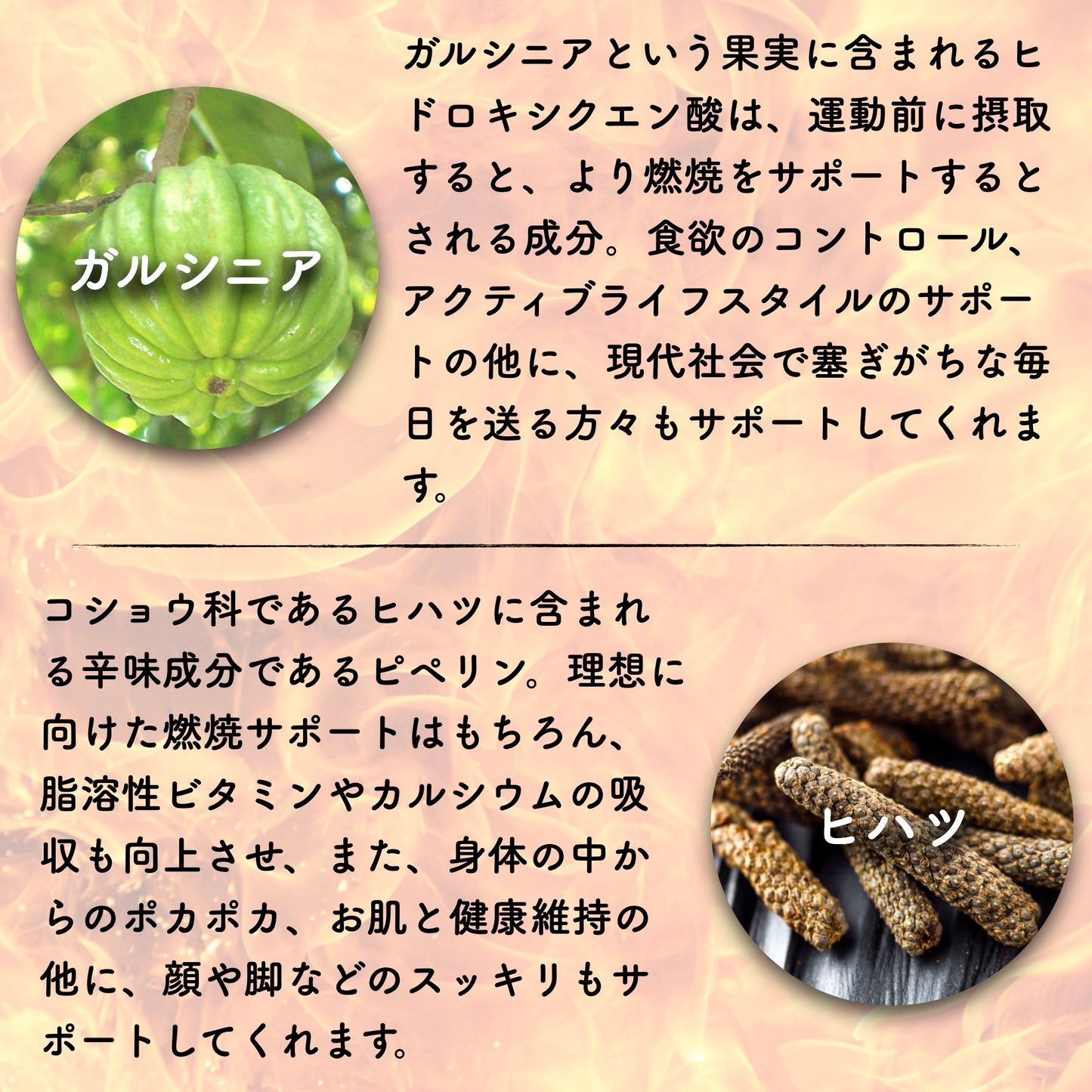 Burning Support ダイエット サプリメント