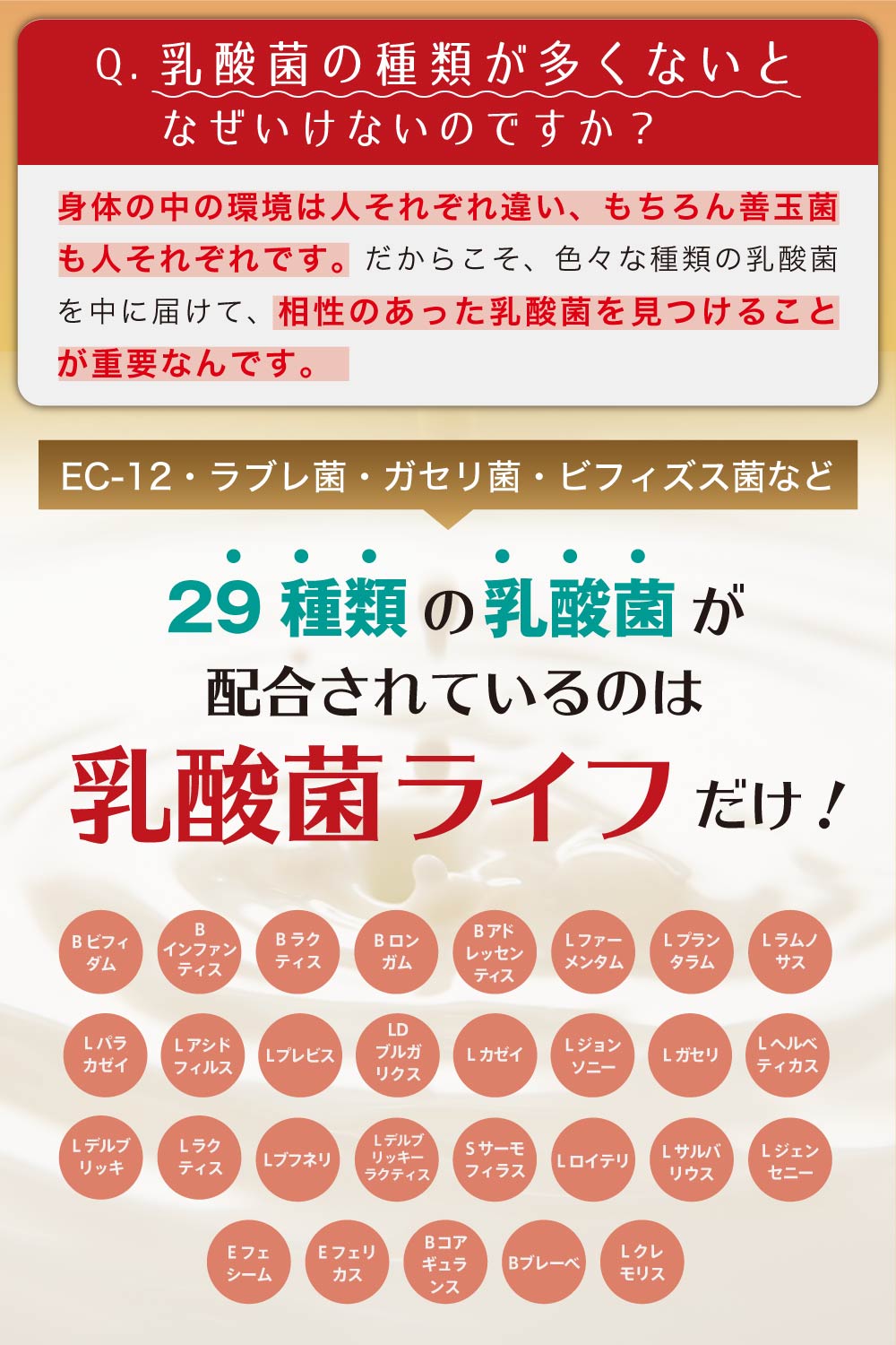 乳酸菌ライフ