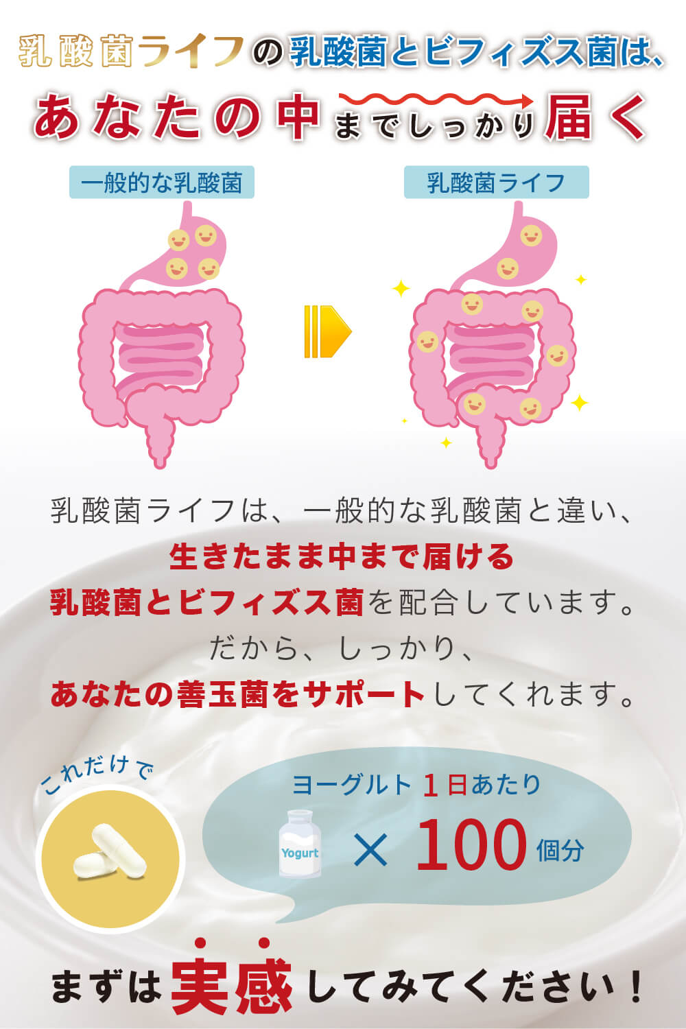 乳酸菌ライフ