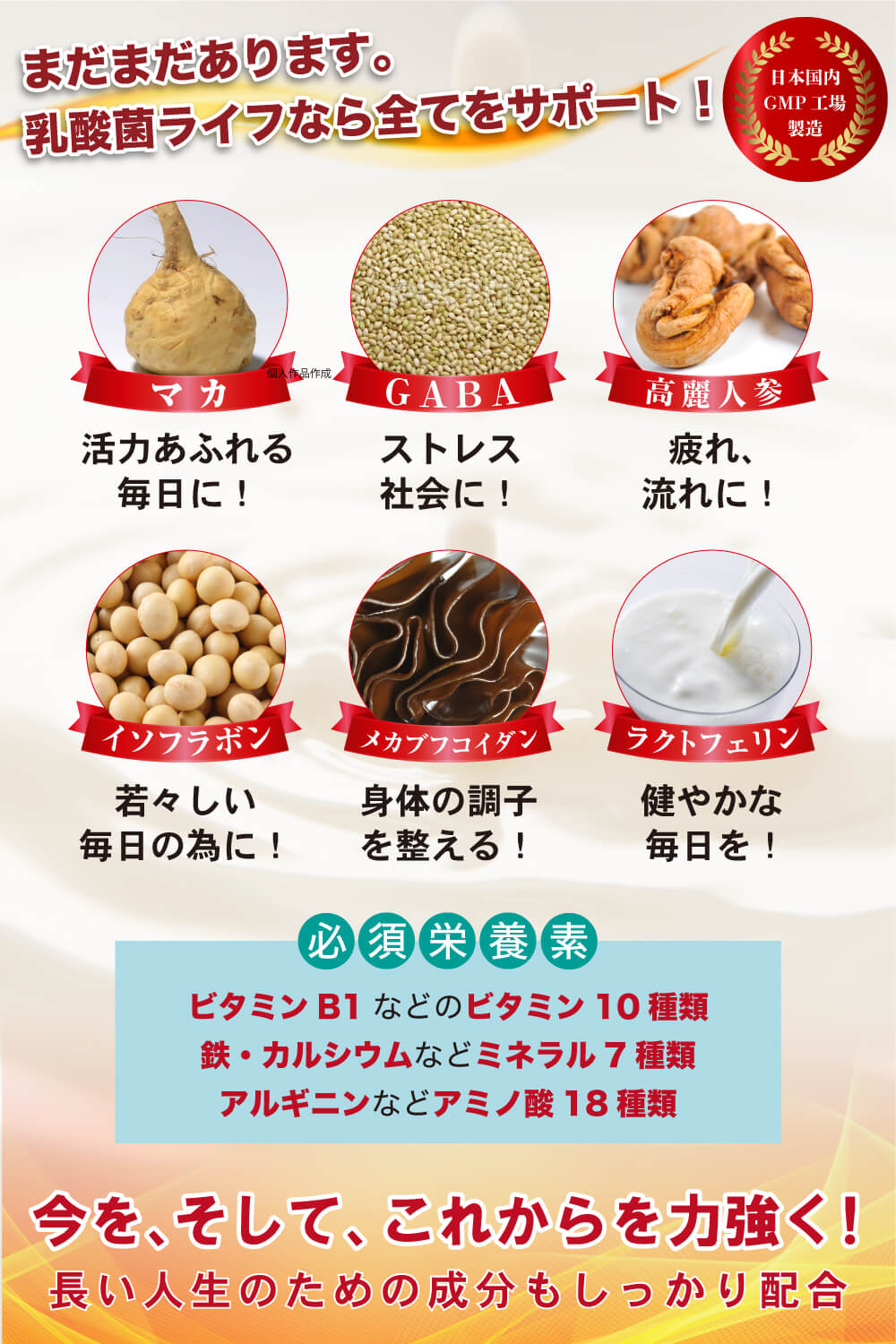 乳酸菌ライフ