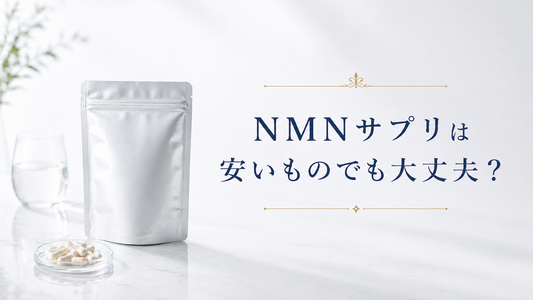 NMNサプリは安いものでも大丈夫？価格だけで選ぶ前に見るべきポイント