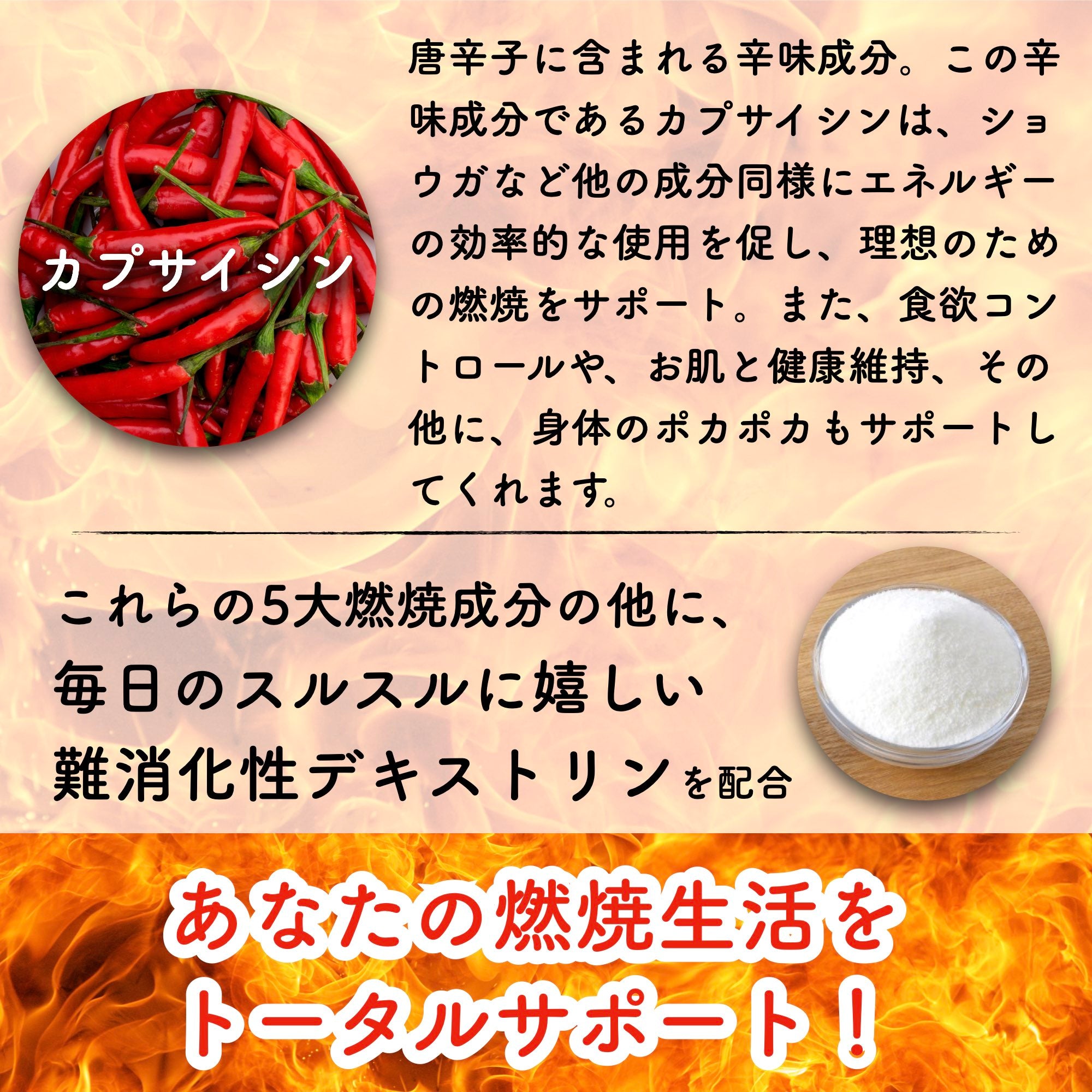 BurningSupport ダイエットサプリメント – サプリメント専門店