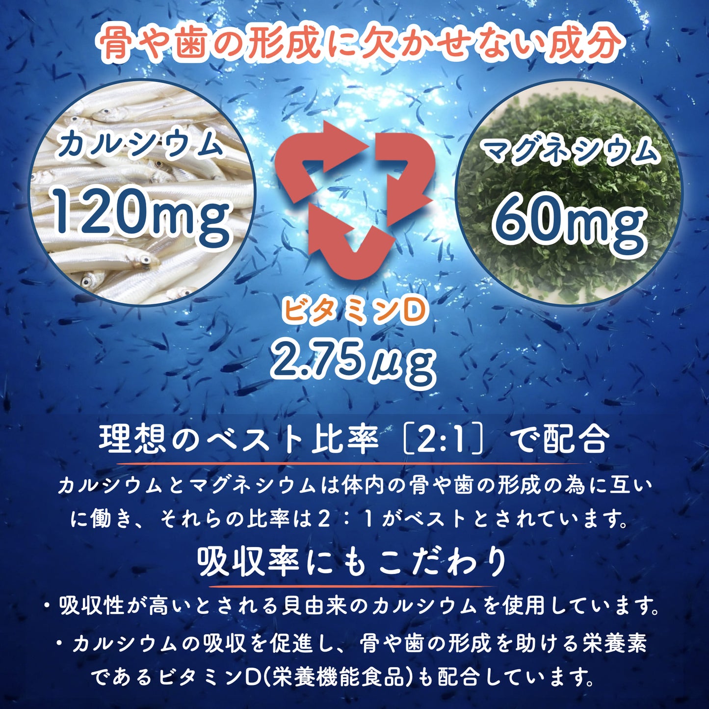 [栄養機能食品]カルシウム+マグネシウム+ビタミンD(国産玄米と64種類植物発酵エキス入)
